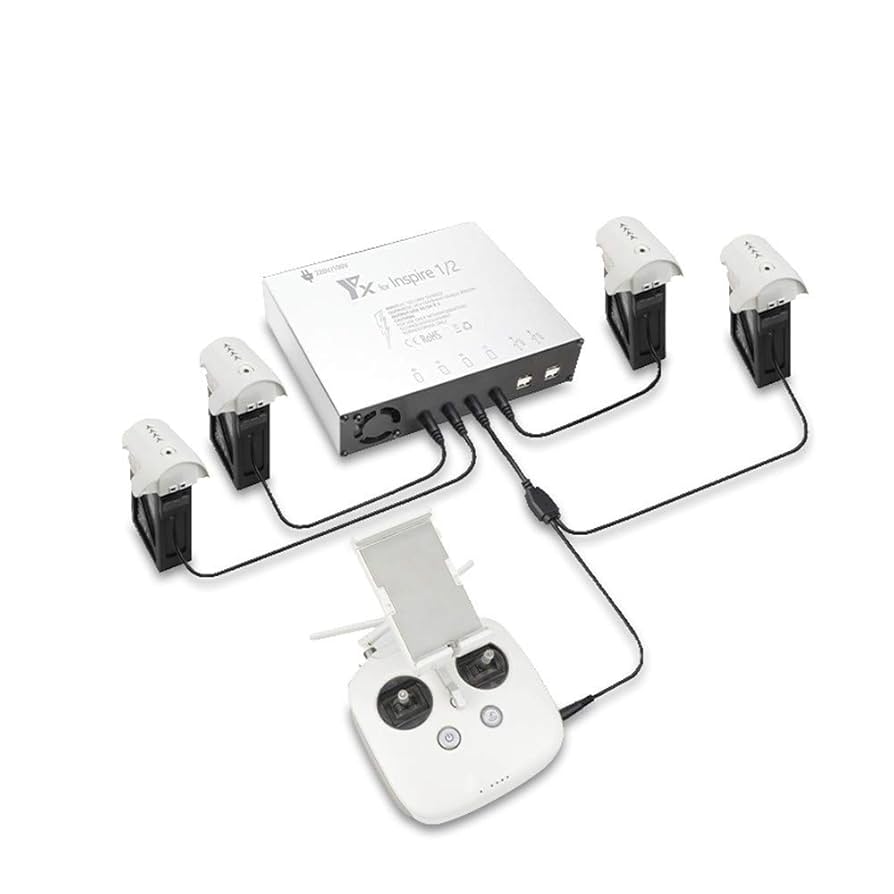 Amazon.com: 8 in 1 Multi Battery Charger for DJI Inspire 1